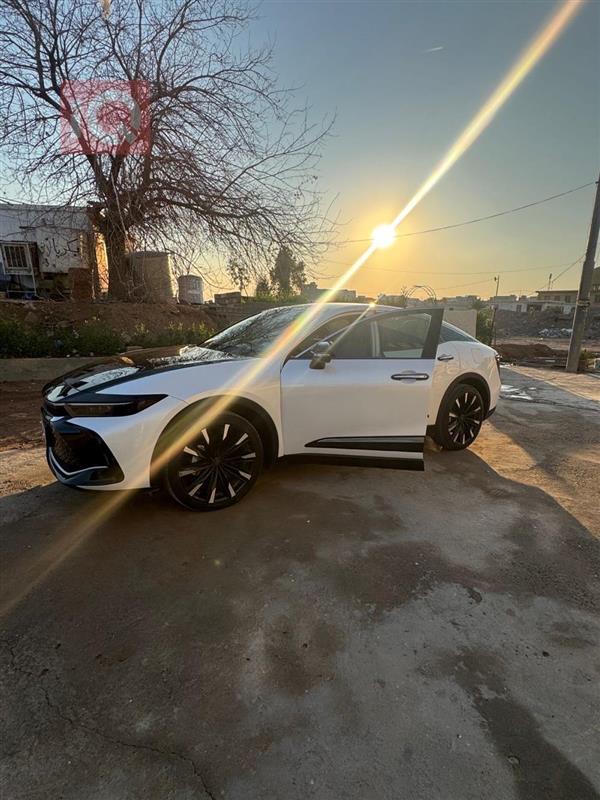 Toyota for sale in Iraq